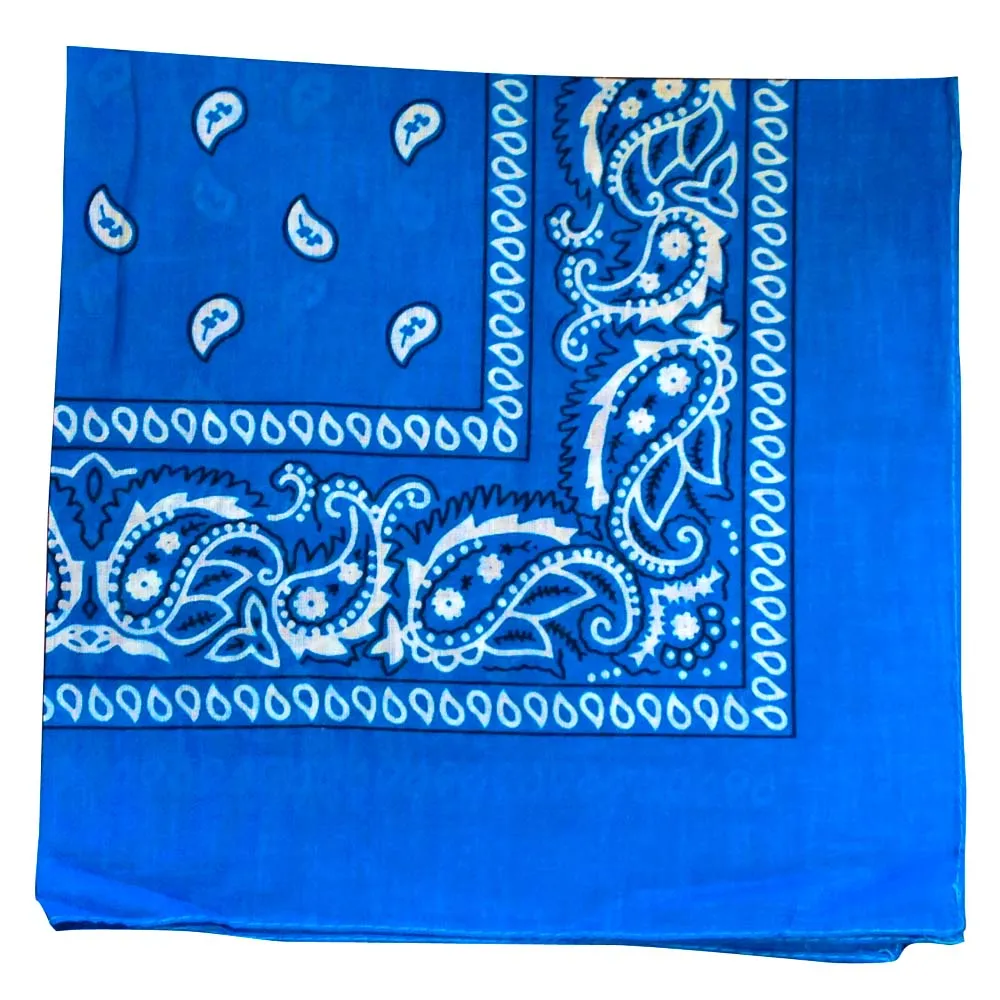Assorted Dozen Bandanas (Paisley)