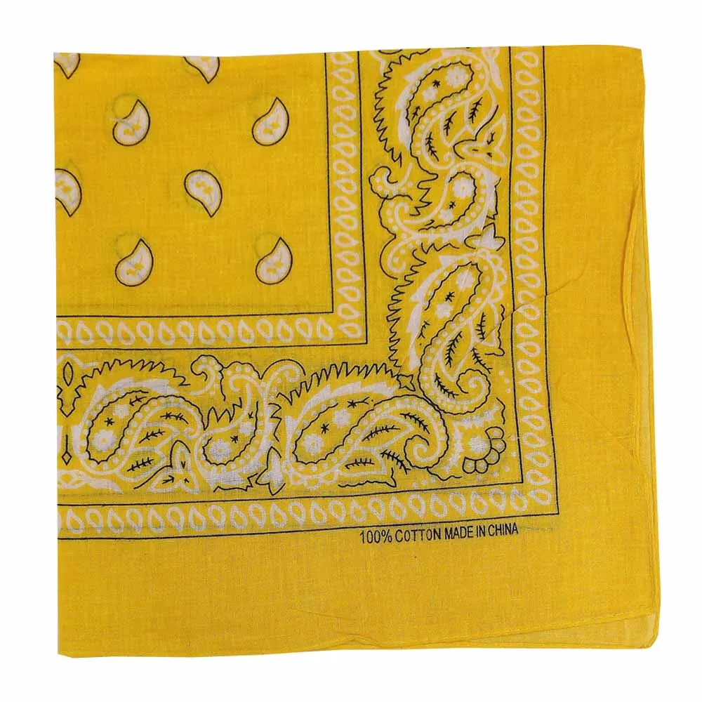 Assorted Dozen Bandanas (Paisley)