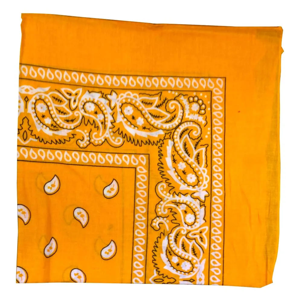 Assorted Dozen Bandanas (Paisley)