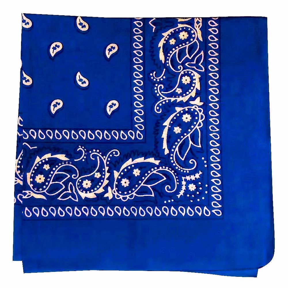 Assorted Dozen Bandanas (Paisley)