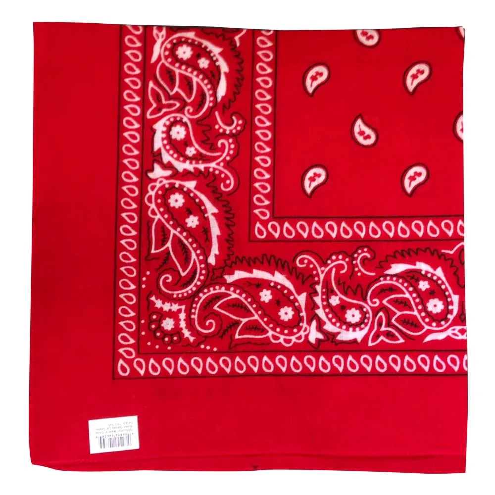 Assorted Dozen Bandanas (Paisley)