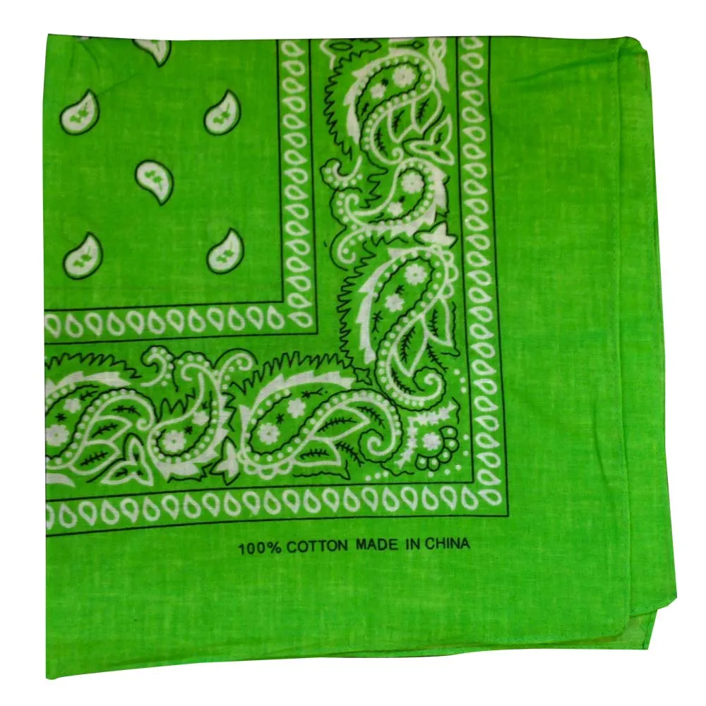 Assorted Dozen Bandanas (Paisley)