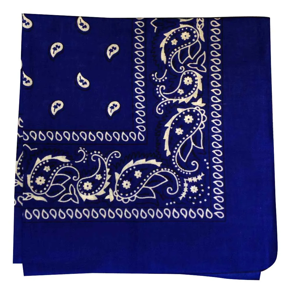 Assorted Dozen Bandanas (Paisley)