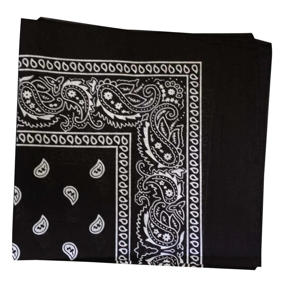 Assorted Dozen Bandanas (Paisley)