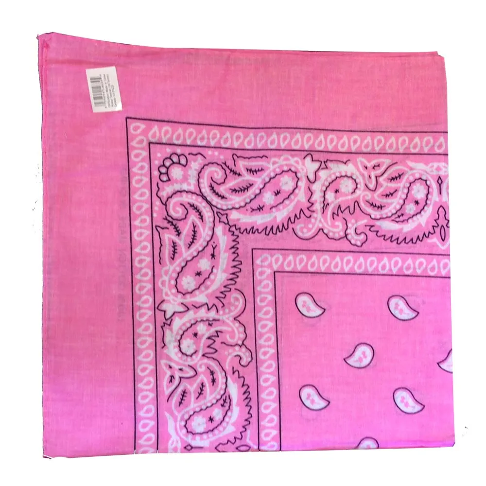 Assorted Dozen Bandanas (Paisley)
