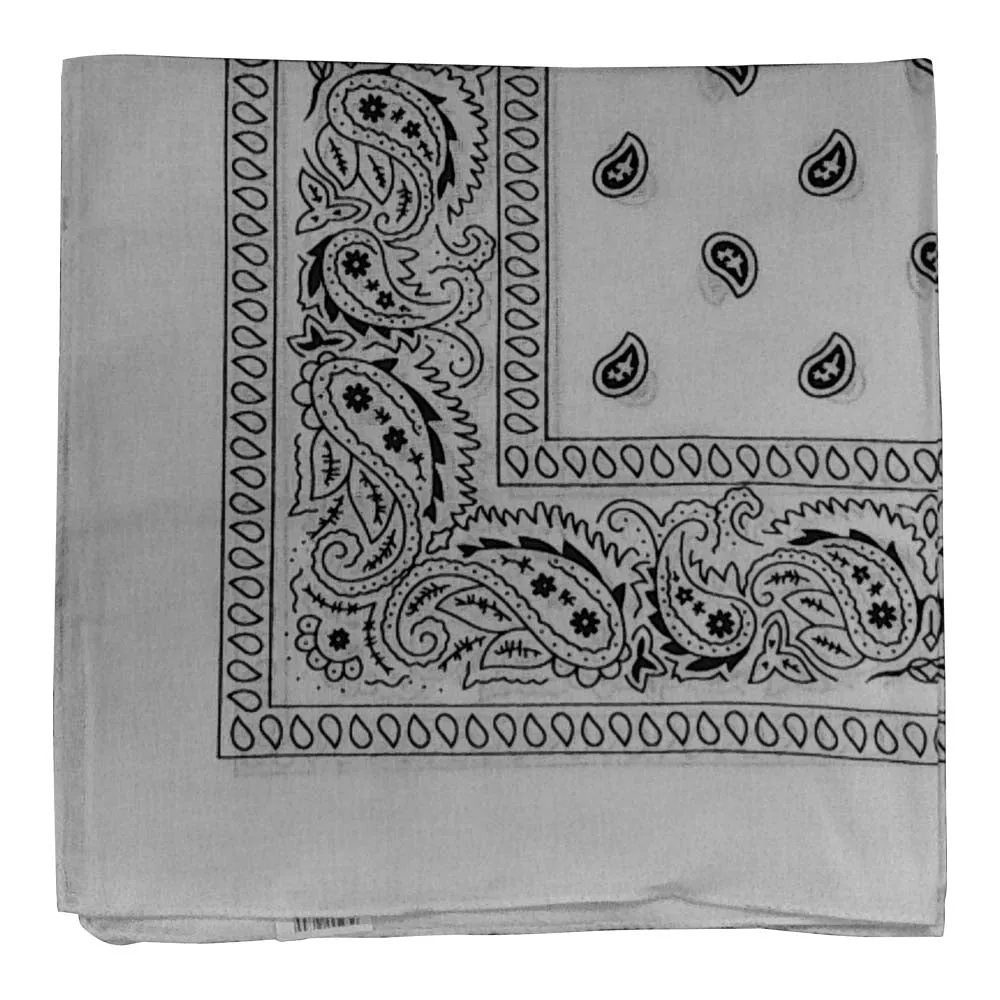 Assorted Dozen Bandanas (Paisley)
