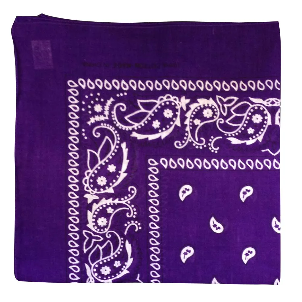 Assorted Dozen Bandanas (Paisley)