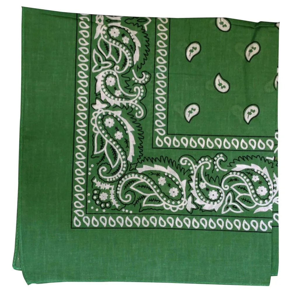 Assorted Dozen Bandanas (Paisley)