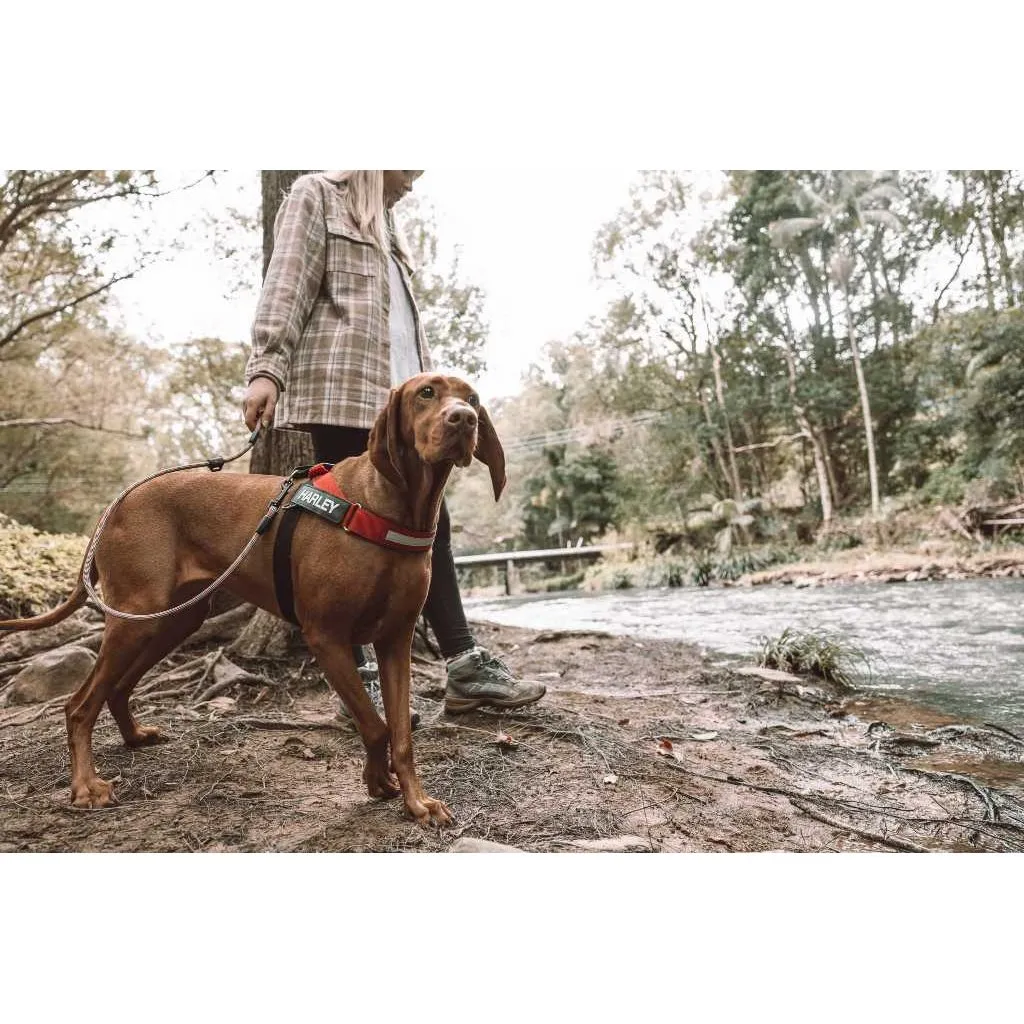 ED Leash Summit 6mm 48" Lite