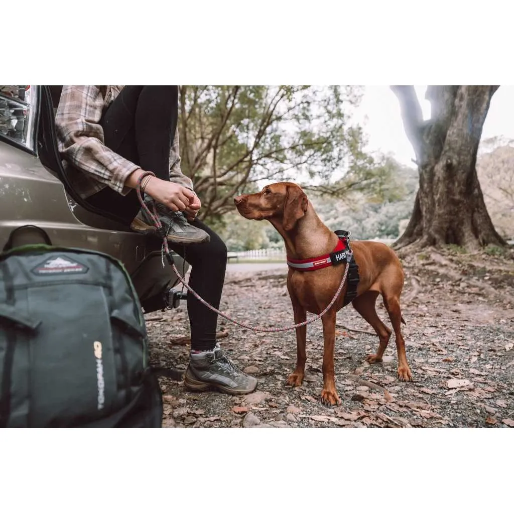ED Leash Summit 6mm 48" Lite