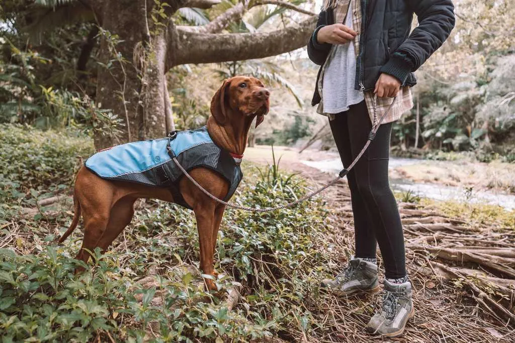 ED Leash Summit 6mm 48" Lite