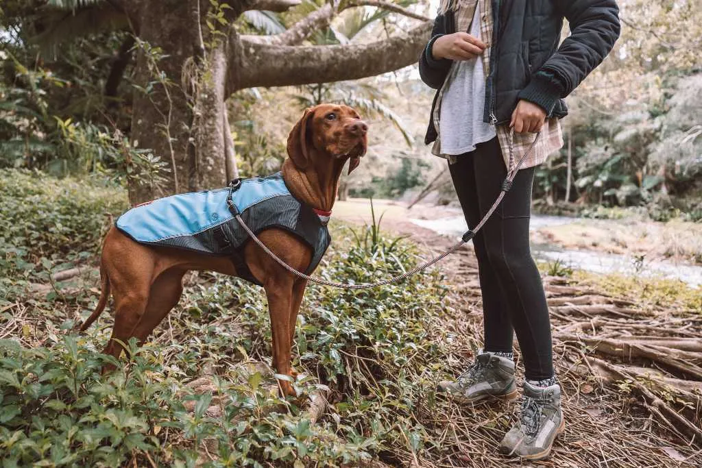 ED Leash Summit 6mm 48" Lite