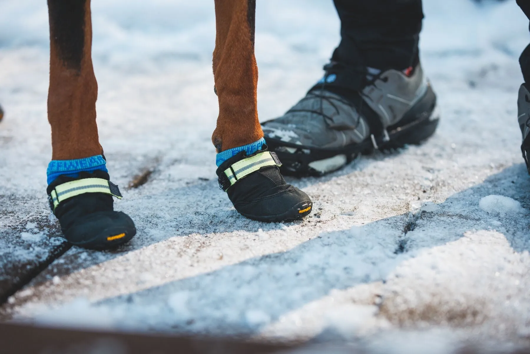 Ruffwear - Summit Trex