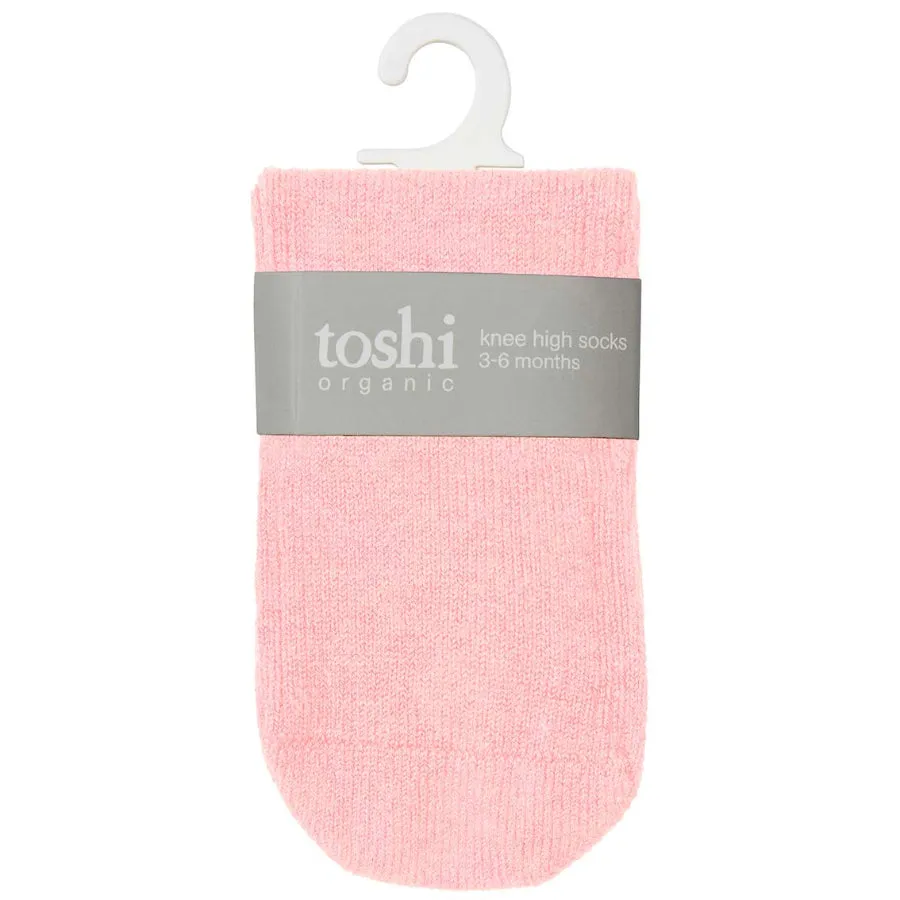 Toshi Organic Knee Dreamtime Socks - Pearl
